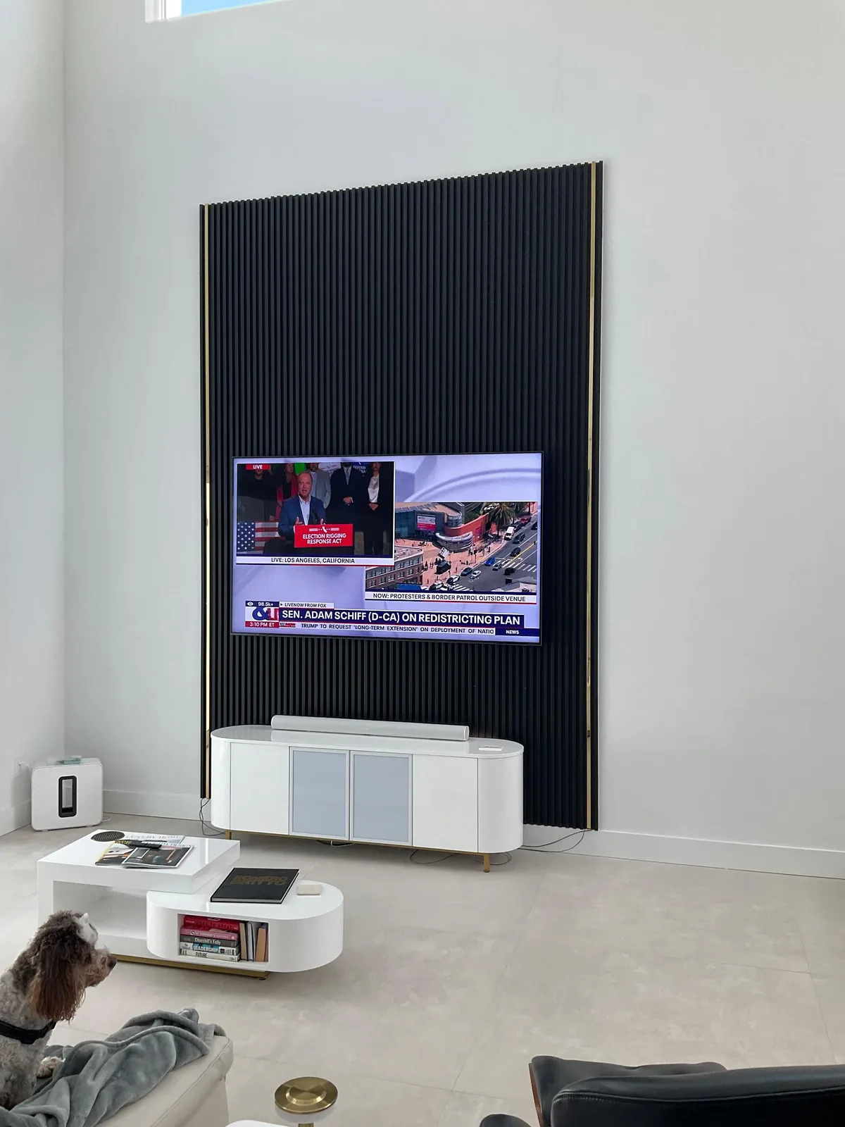 Black vertical slat panel wall with gold trim reveals, mounted TV and white console in Lakewood Ranch, FL